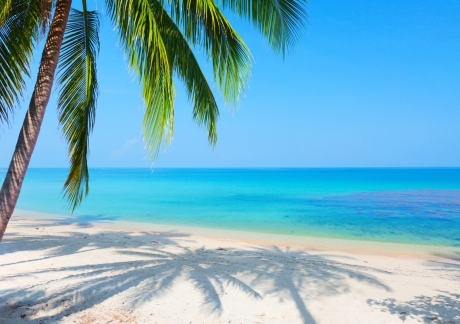 A bit of Paradise