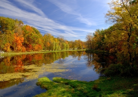 Autumn Landscape